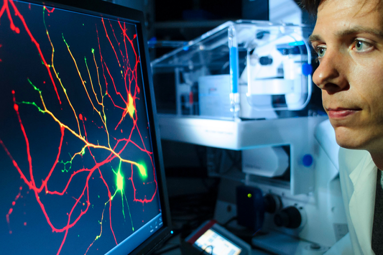 A nurse looking at a moniter showing red neurons, with a large modern imaging machine in the background