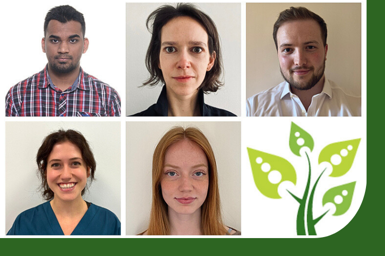 photo montage of headshots of 5 new staff