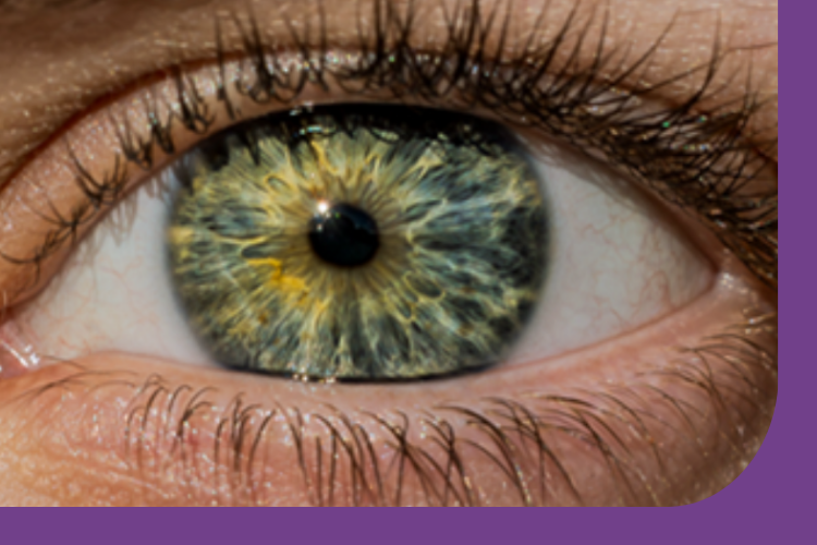 A close up picture of an eye