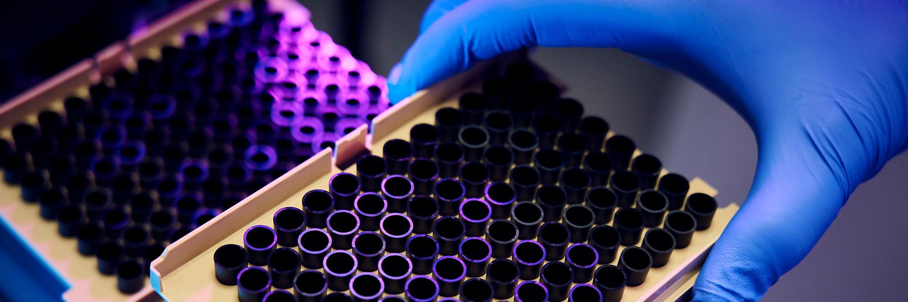a hand wearing a blue glove picking up a 96-well laboratory sample plate