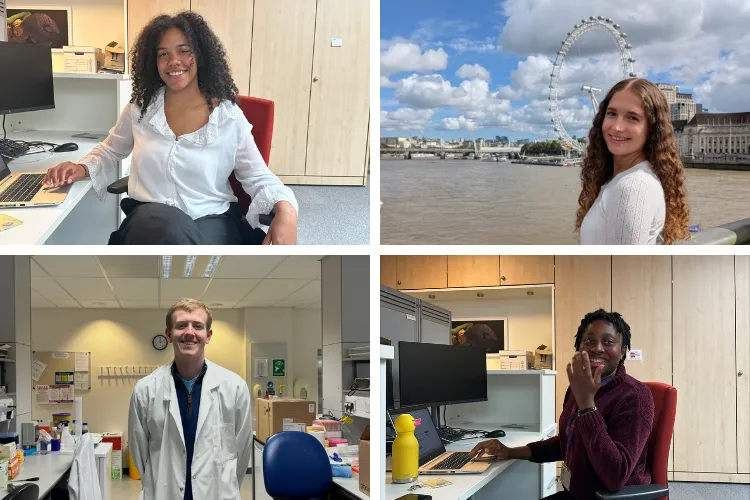 Summer intern collage of four students