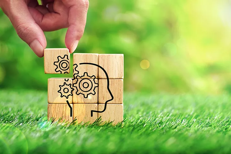 Hand adding the final piece to wooden jigsaw showing a stylised image of a head and brain. The jigsaw is sitting on grass so there is a green background.
