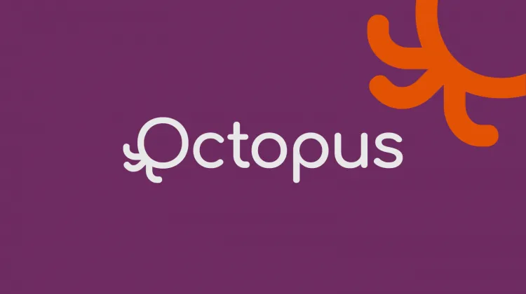 Octopus banner image